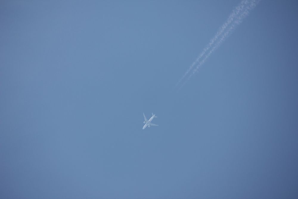 Photograph by Елена Поспелова