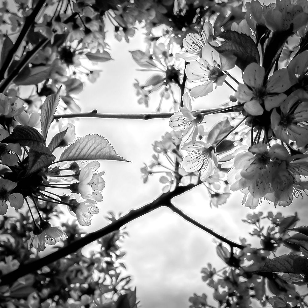 Photograph by Nikolai Osokin