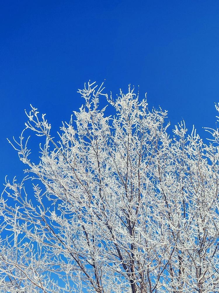 Photograph by Ирина Строкова