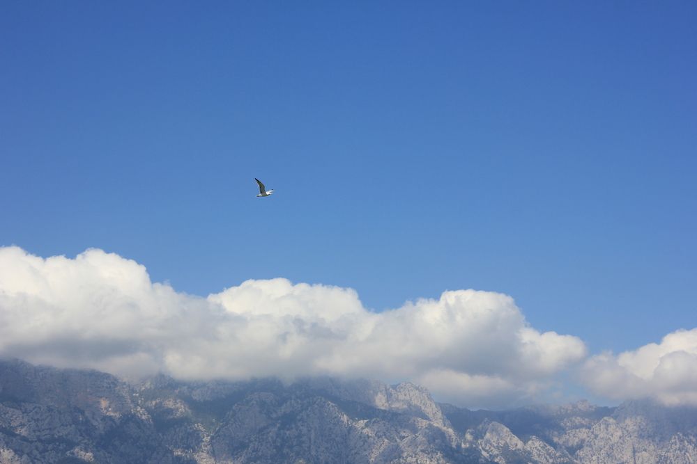 Photograph by Светлана Поспелова