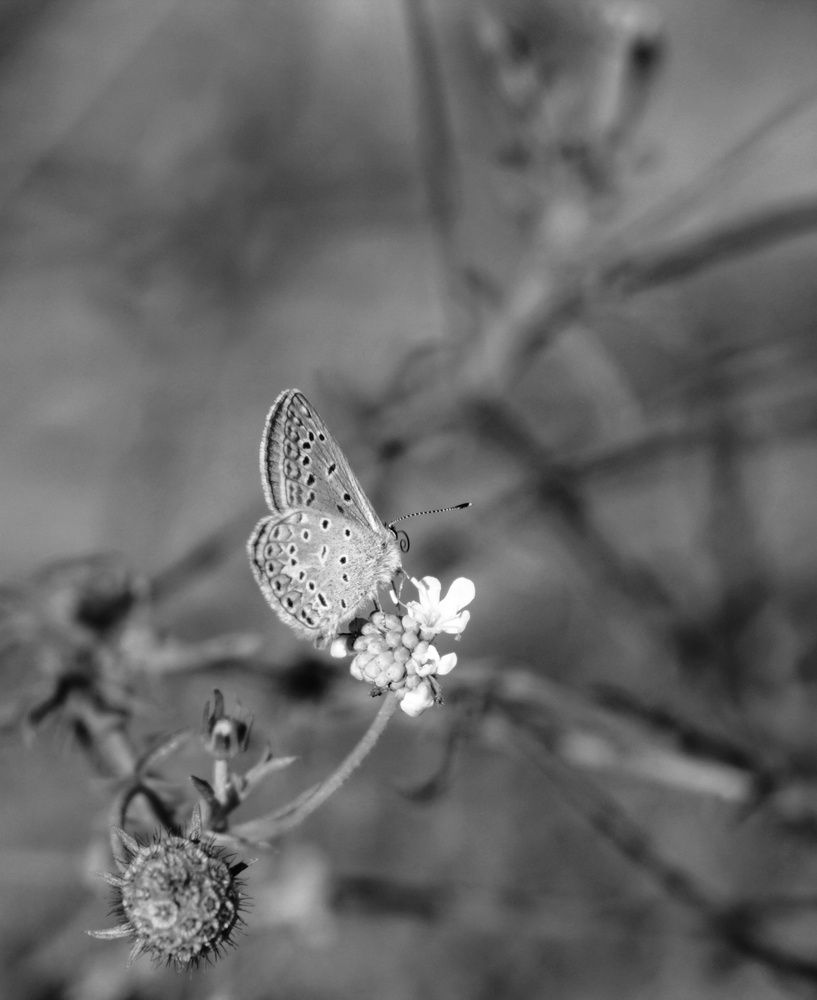 Photograph by Ульяна Митрофанова