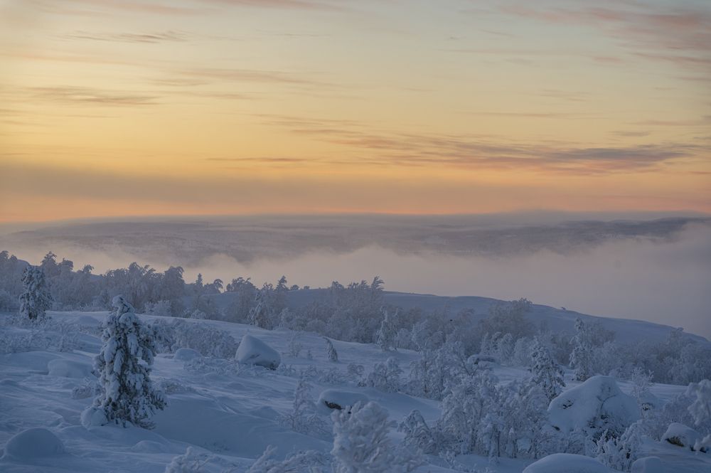 Фотография автора Александр Шульга