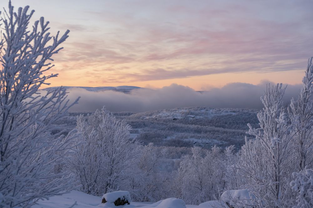 Фотография автора Александр Шульга