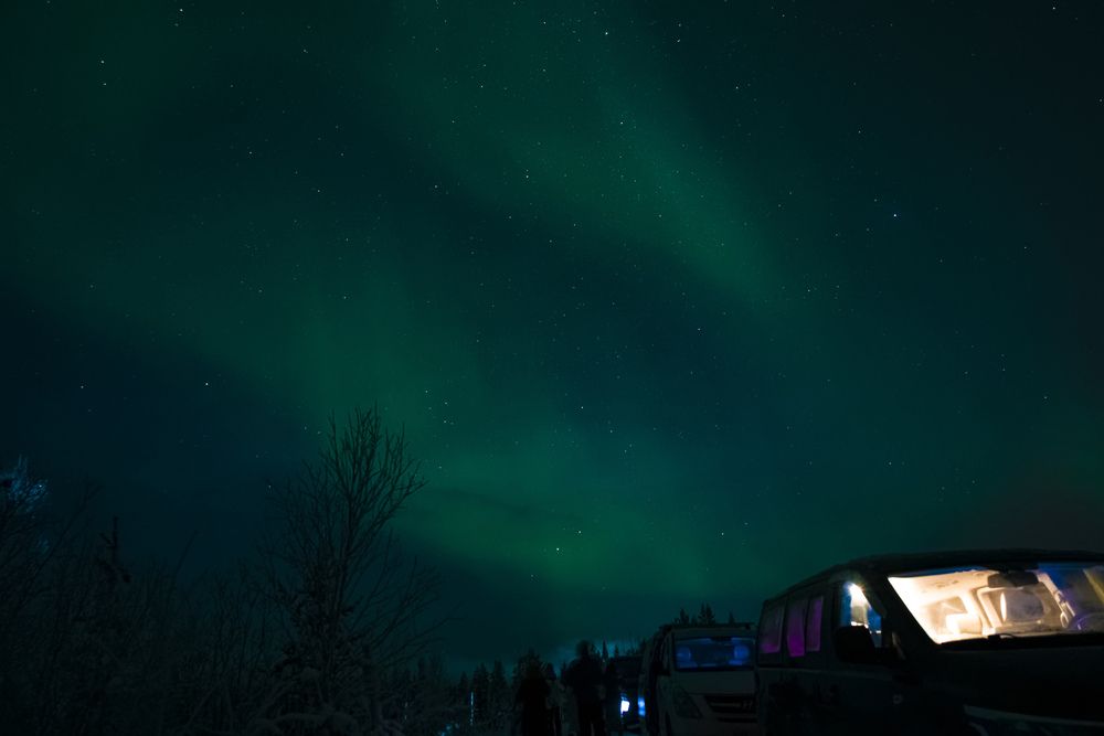 Фотография автора Александр Шульга