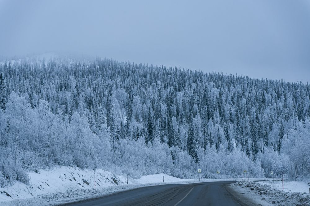 Photograph by Александр Шульга