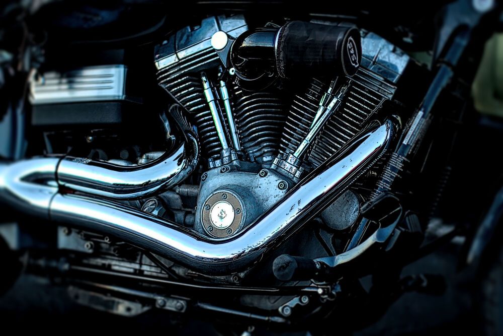 Photograph by Oleg Chemodanov