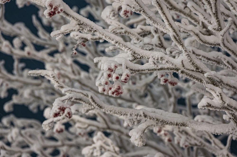 Photograph by Александр Шульга