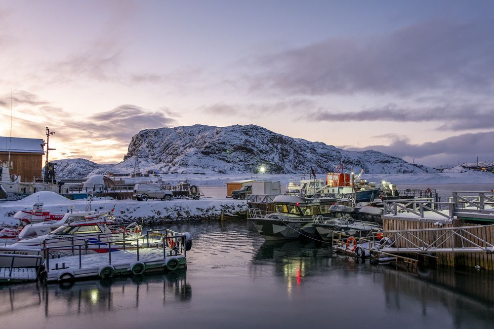 Фотография автора Александр Шульга