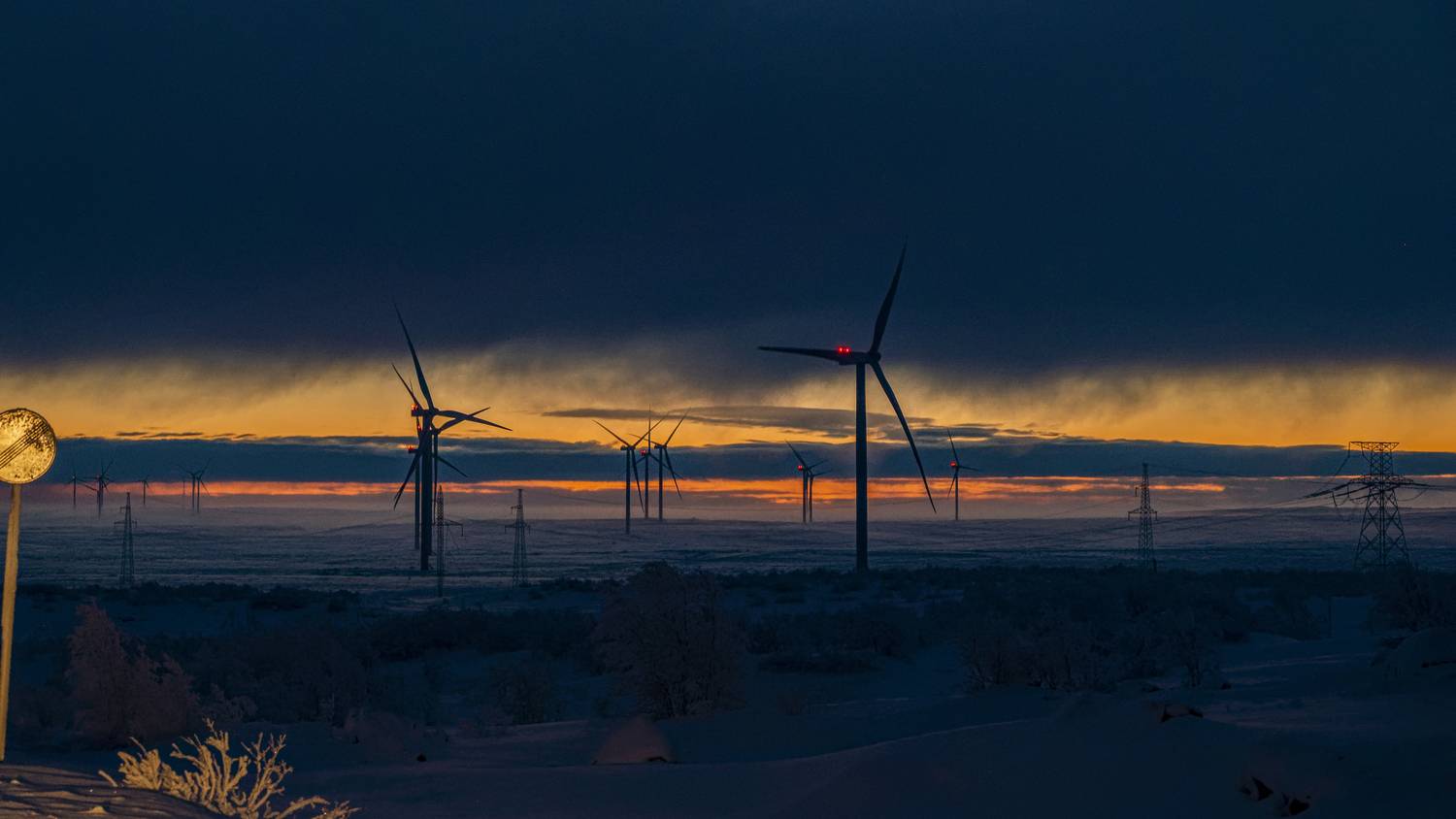 Фотография #12975787