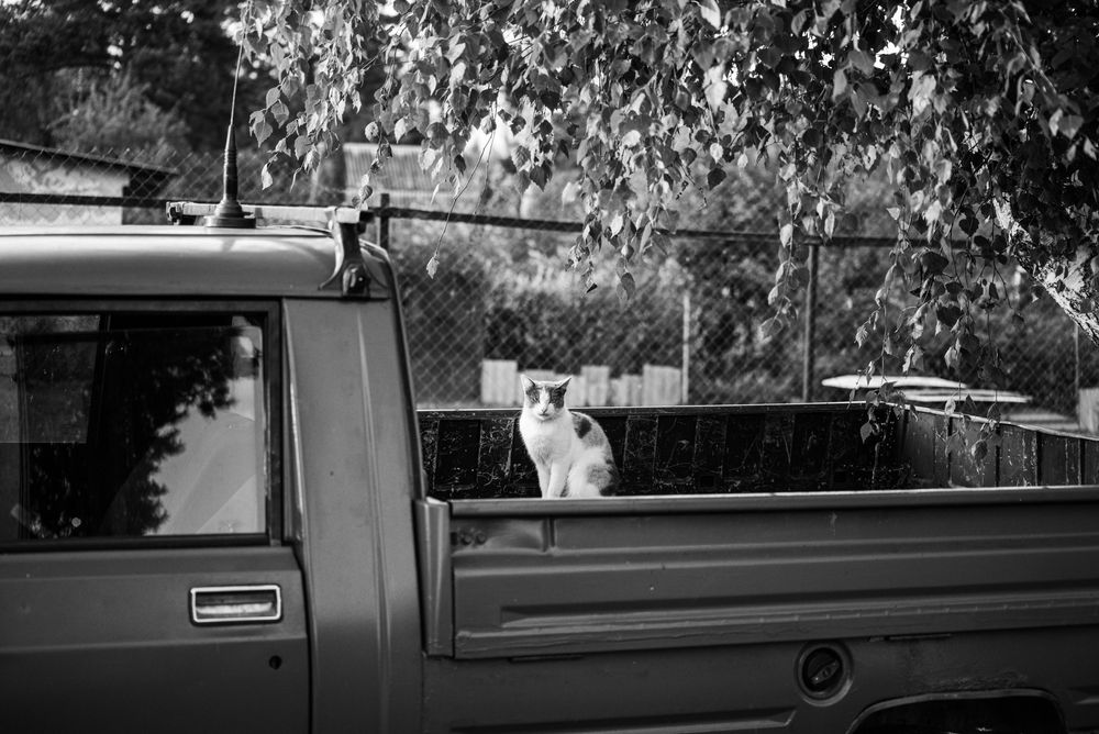 Photograph by Татьяна Жиркина