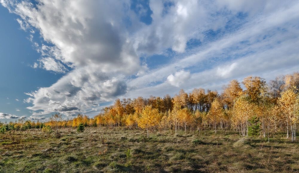 Наступают холода.