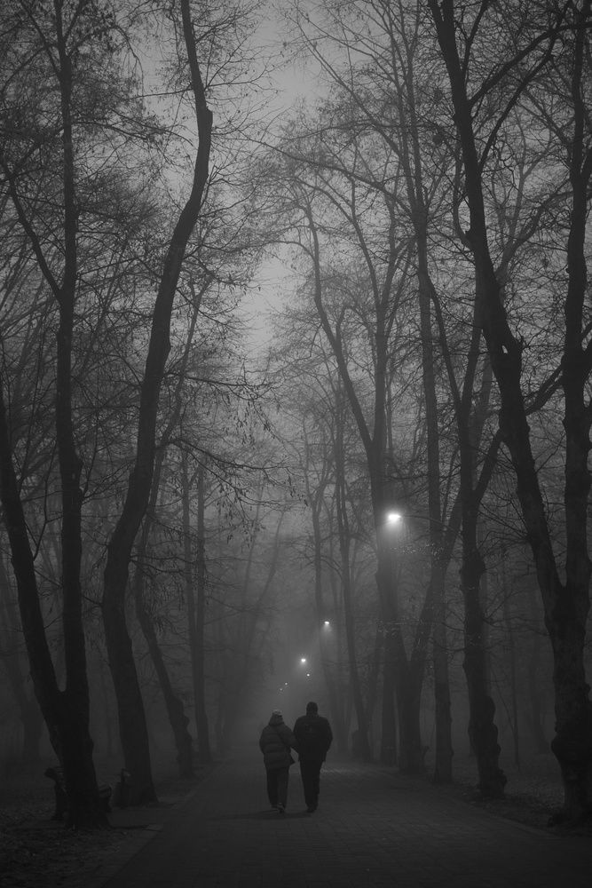 Photograph by BESPAMIATNYI Dmitry