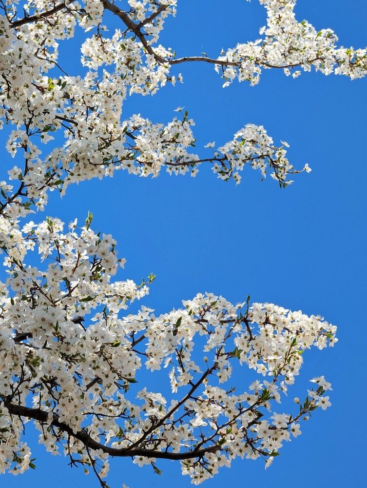 Фотография автора Елизавета