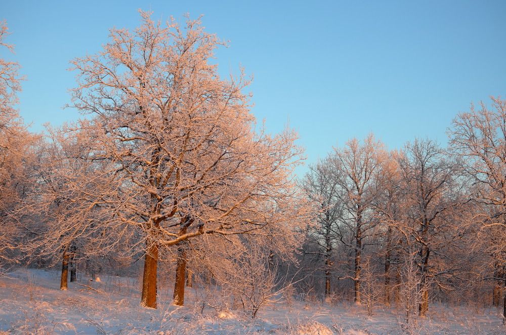 Photograph by Александр Кизим