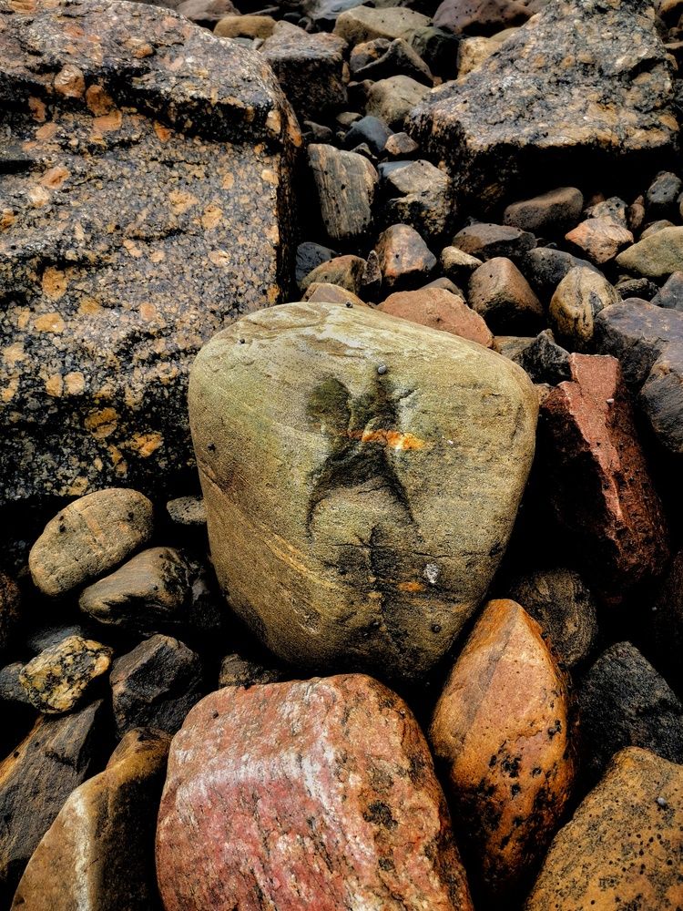 Photograph by Елена Артёменко