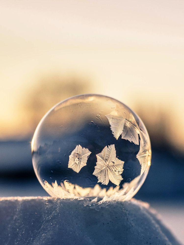 Photograph by Людмила Прибылова