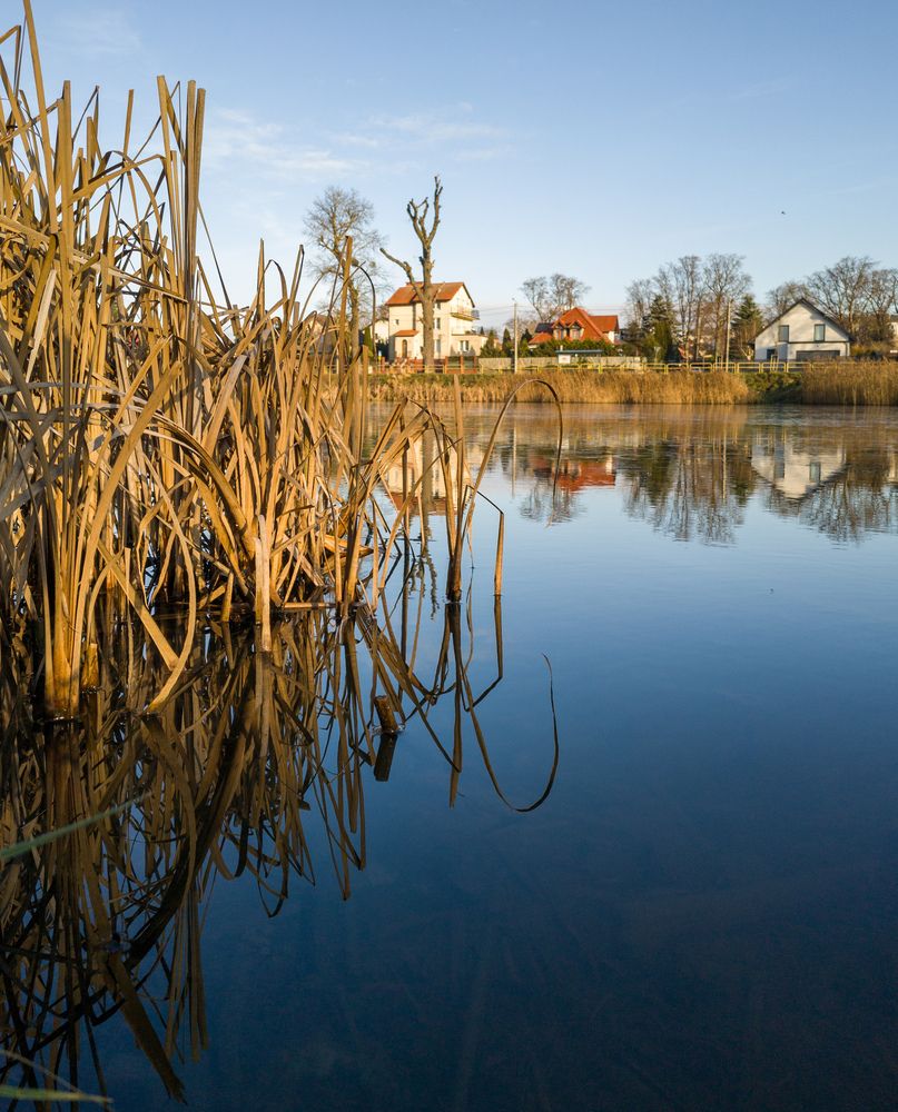 Photograph by andrey denisov