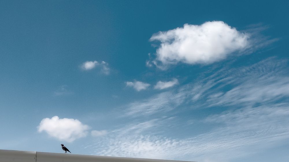 Photograph by Praveen