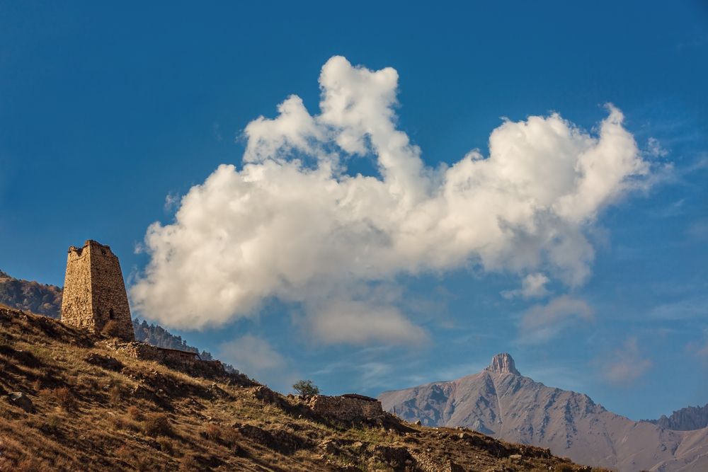 Фотография автора Галина Шепелева