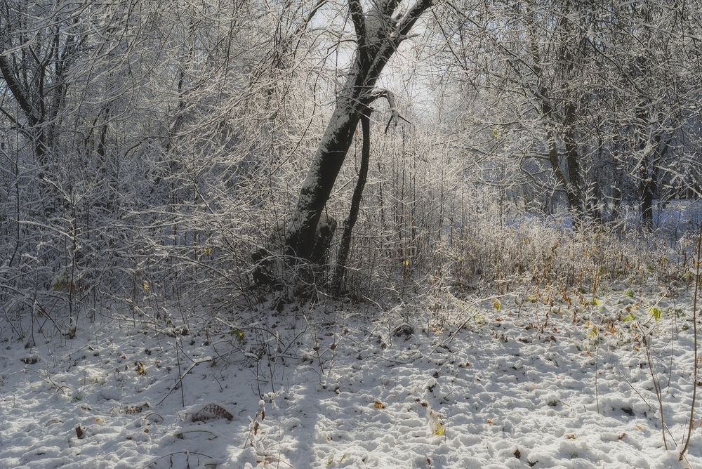Photograph by Cергей Черныш