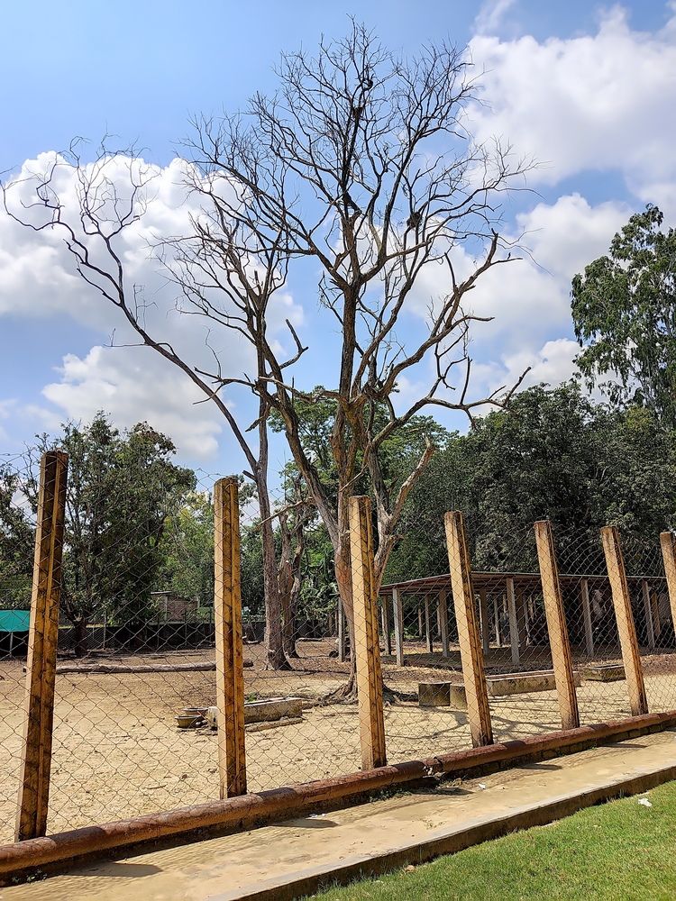 Photograph by Mahdi Rafi