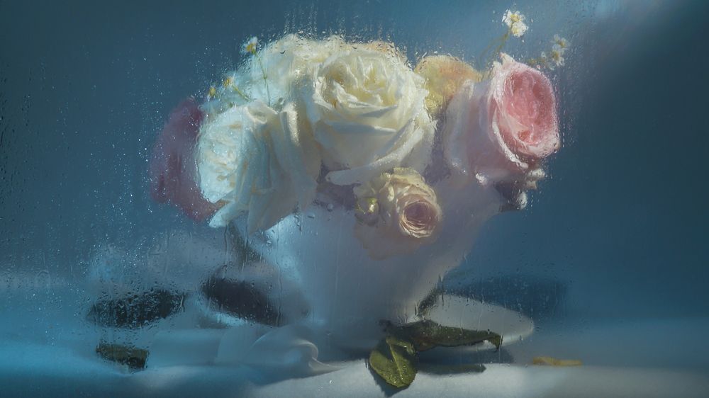 Photograph by Сушкевич Светлана