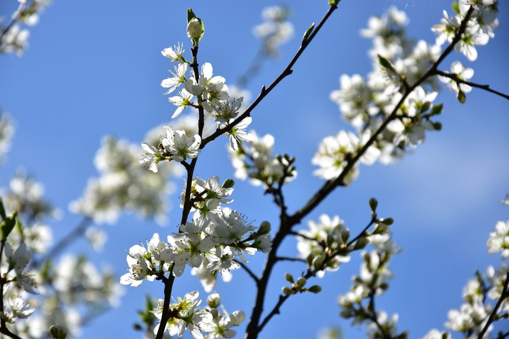 Photograph by Валерий Гудков
