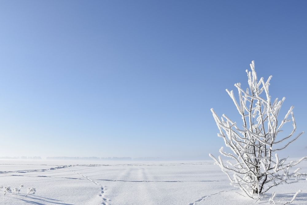 Photograph by Валерий Гудков