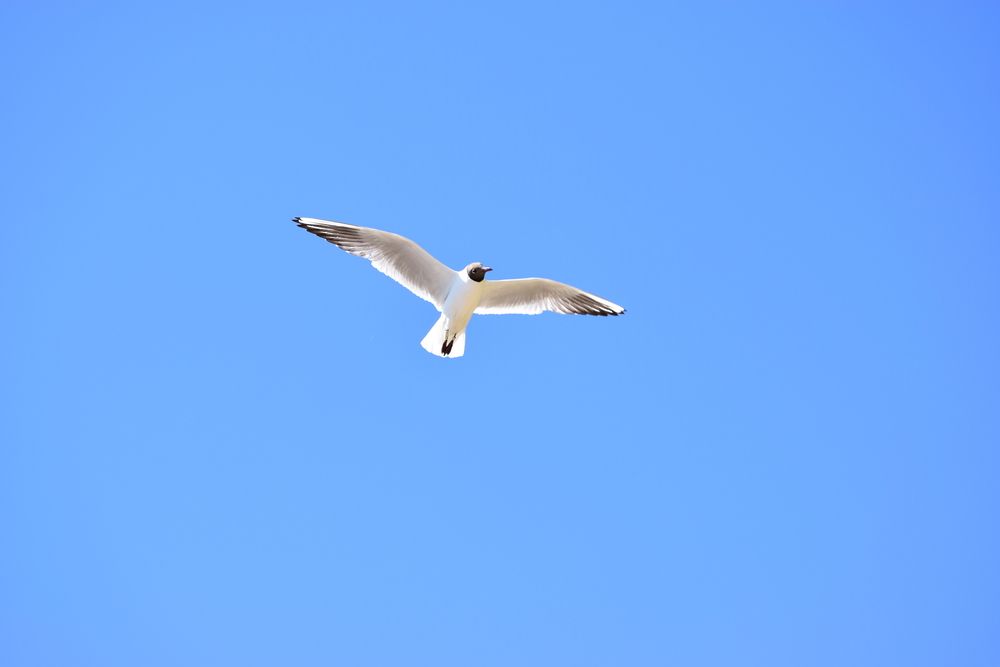 Photograph by Аким Черных