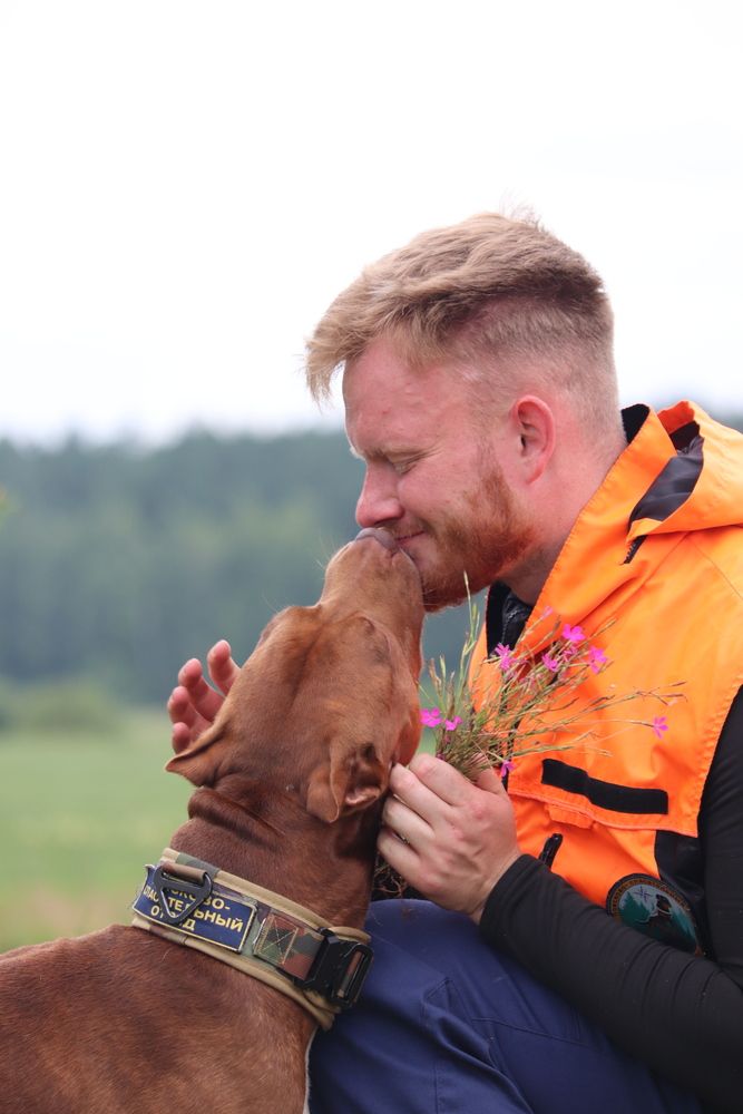 Photograph by Алексейчик Дмитрий