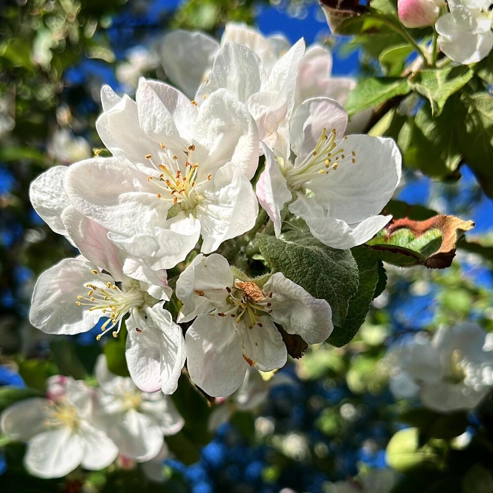 Photograph by Ольга Миронова