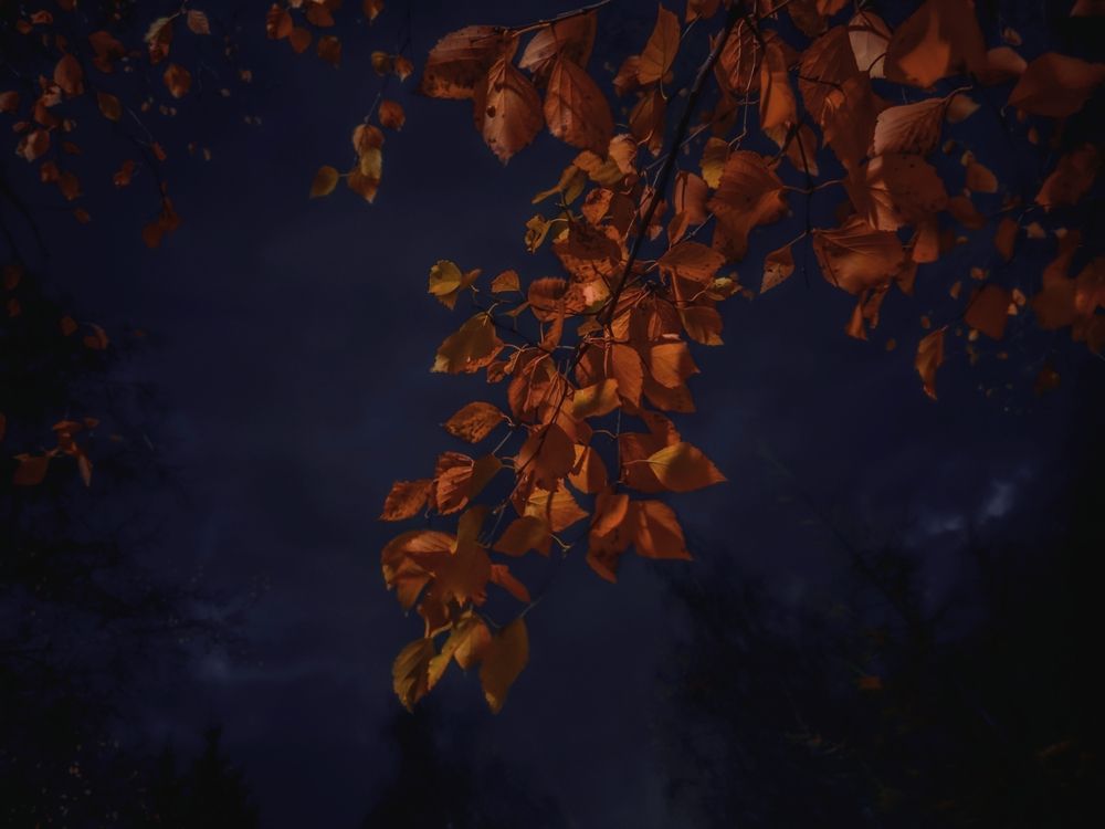 Photograph by Кирилл Сидоров