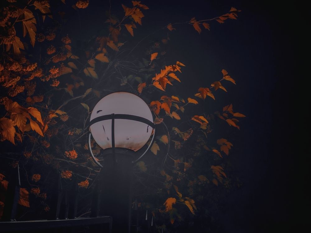 Photograph by Кирилл Сидоров