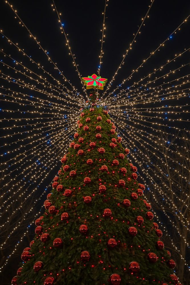 Photograph by Галина Григорьева