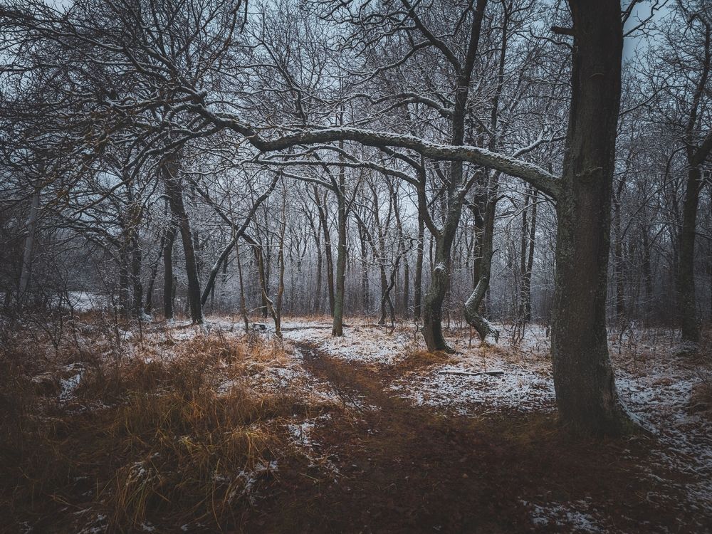 Photograph by Кирилл Сидоров