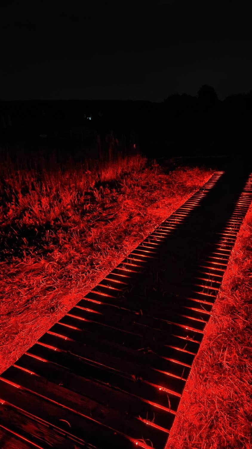 Дорожка к телескопу в Astroglamp Дорожка к телескопу в Astroglamp