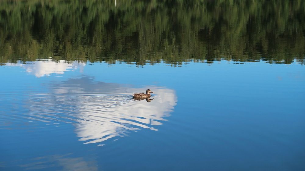 Photograph by Нина