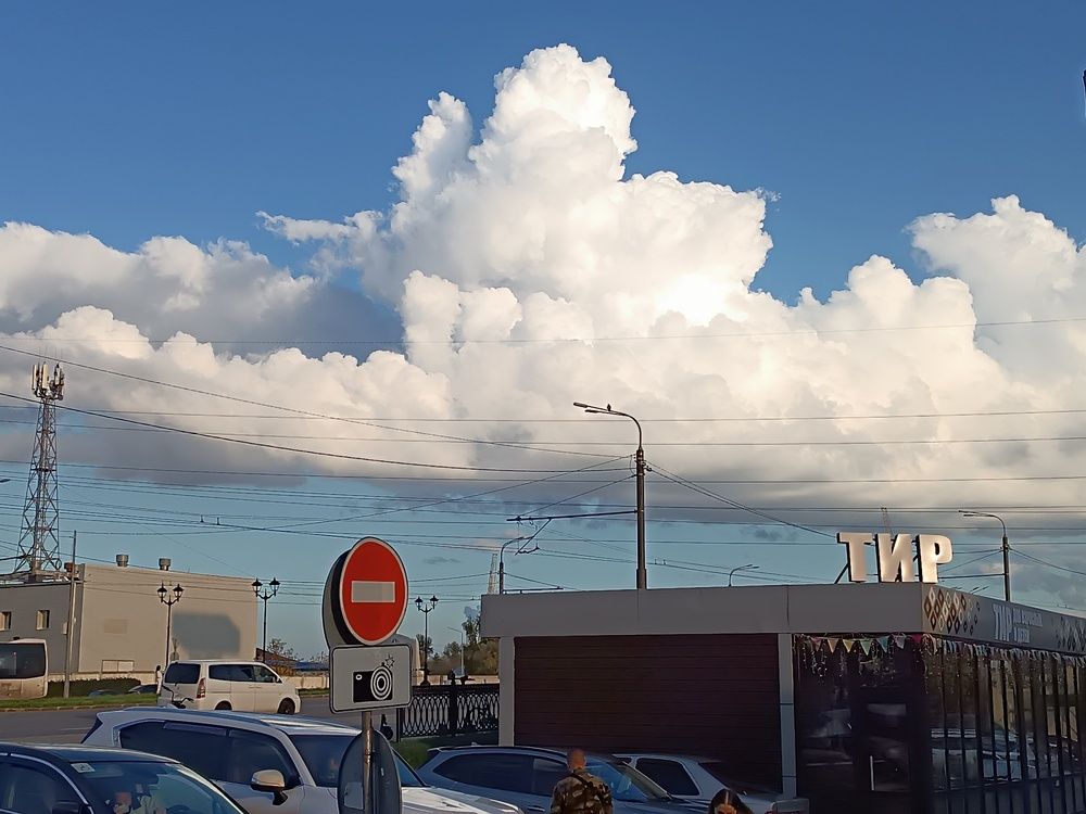 Фотография автора Елена Колышева
