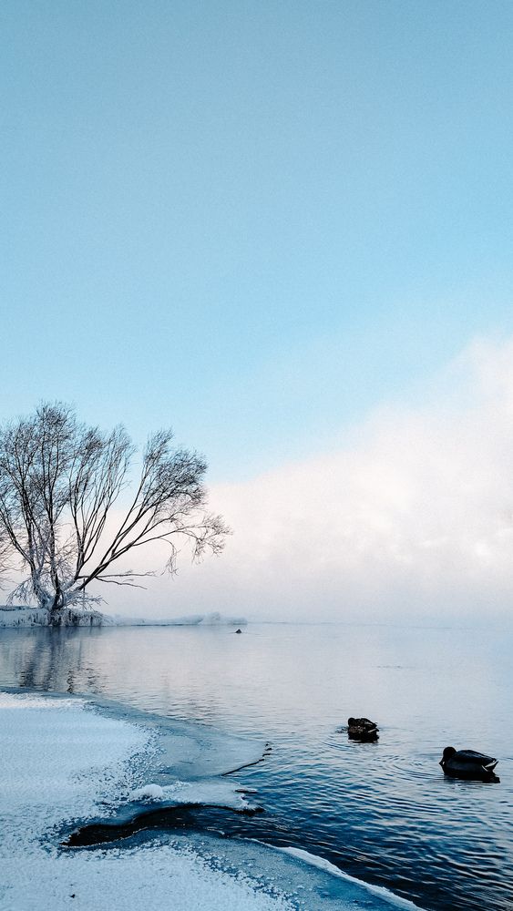 Photograph by Екатерина Жебрикова