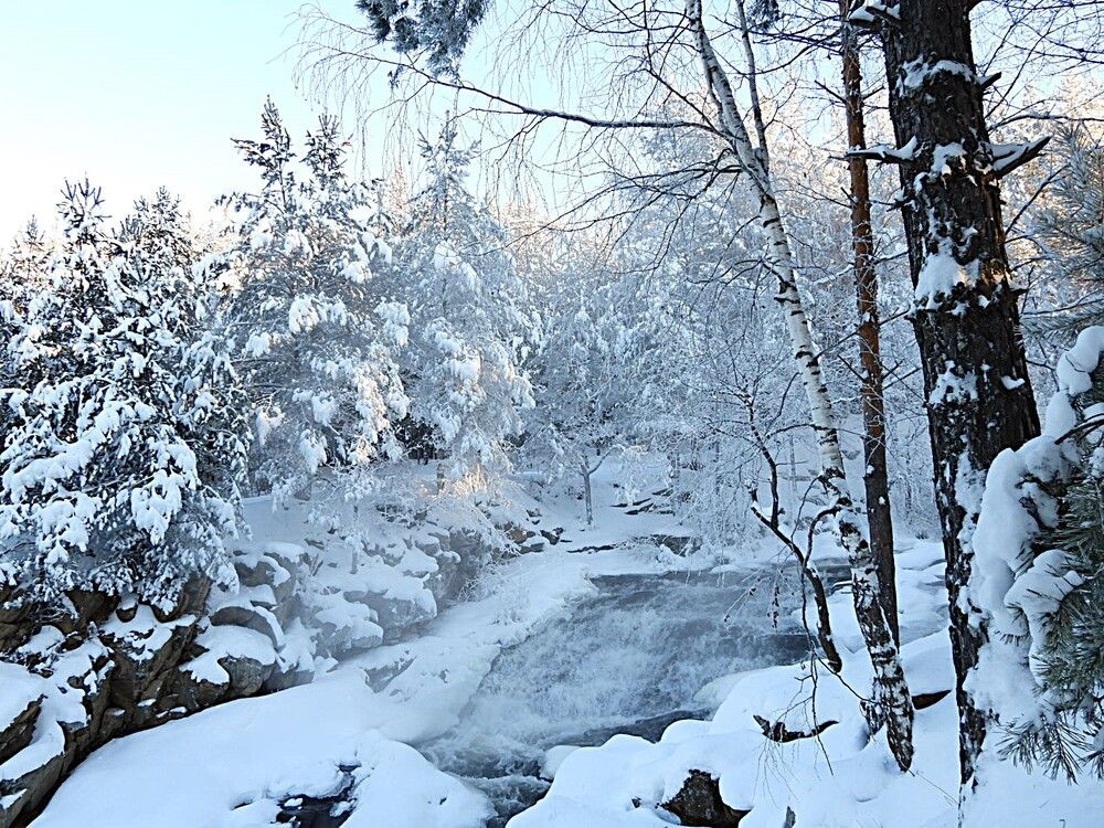 Photograph by Чкареули Светлана