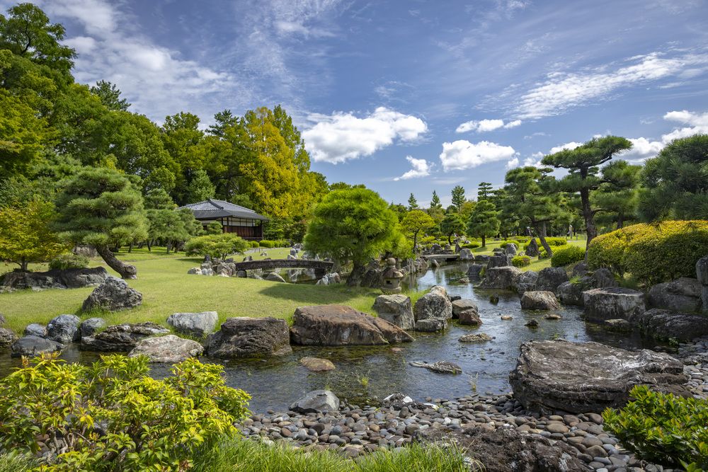 Photograph by Максим Григорьев