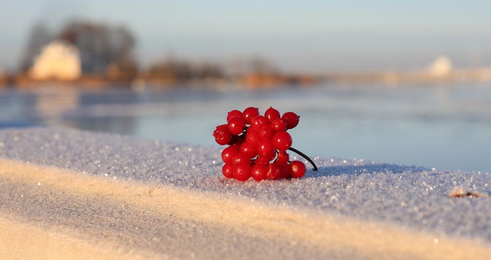 Фотография автора Галина Швыркова