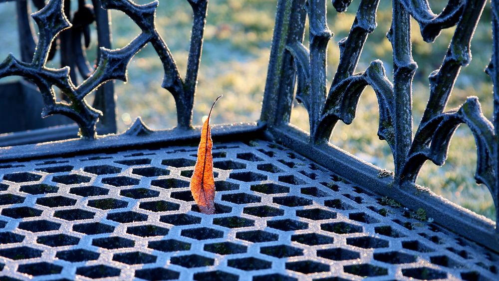 Фотография автора Галина Швыркова