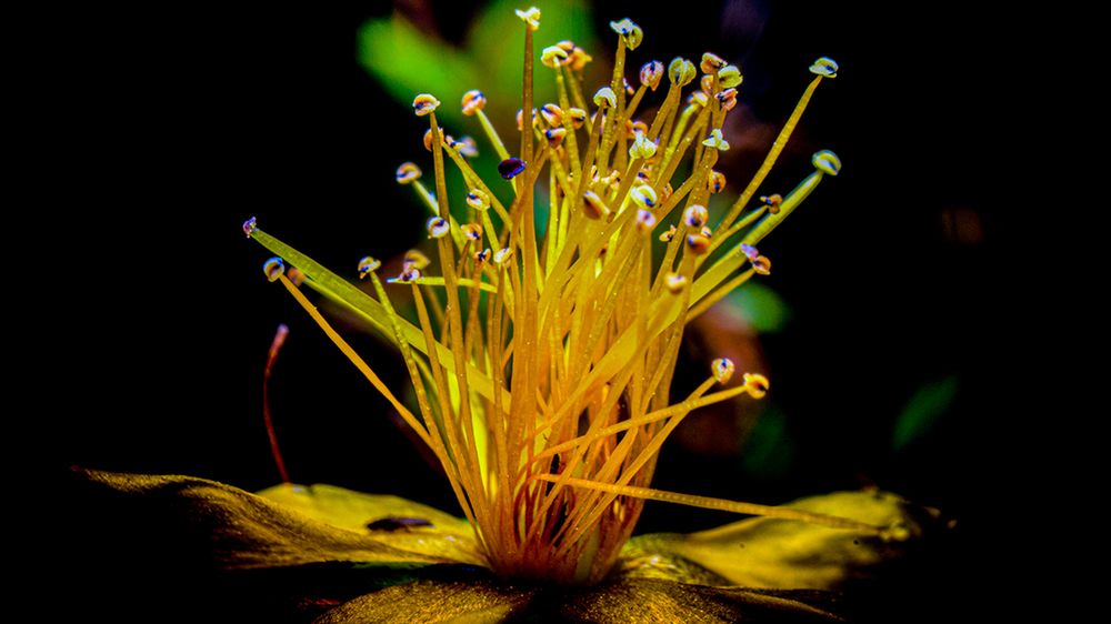 Photograph by Juris Bumanis