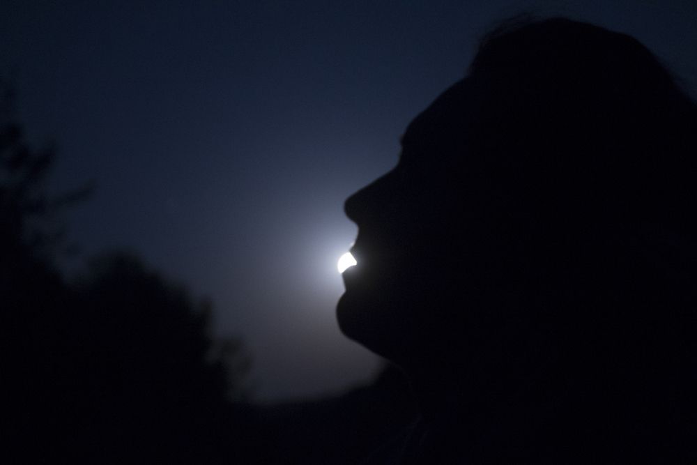 Photograph by Мария Бобылева