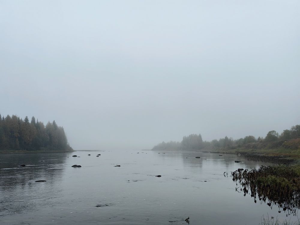 Фотография автора Роман Салихов
