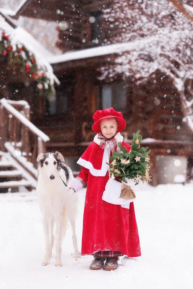 Фотография автора Тамара Дмитриева