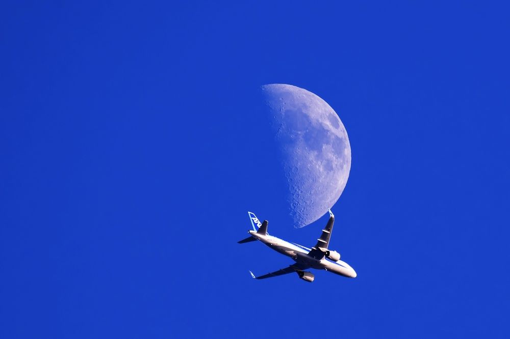 Photograph by 音無