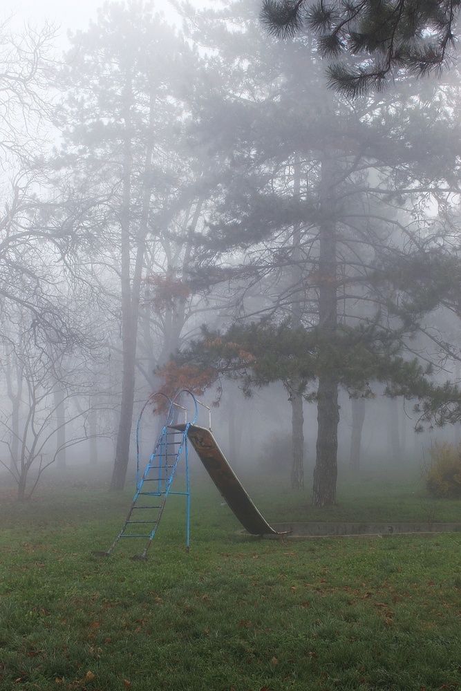 Roller coaster of our childhood