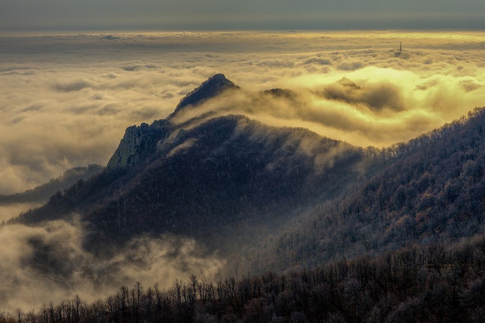 Photograph by Igor Maksimenko